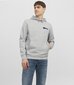 Jack & Jones vīriešu sporta krekls 12233599*01, gaiši pelēks 5715428102490 cena un informācija | Vīriešu jakas | 220.lv