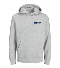 Мужская толстовка Jack & Jones 12233599*01, серый цена и информация | Мужские толстовки | 220.lv