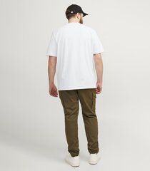 Мужская футболка Jack & Jones 12253778*01, белый цена и информация | Мужские футболки | 220.lv