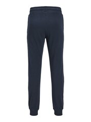 Jack & Jones мужские спортивные брюки 12253887*01, тёмно-синий 5715507492023 цена и информация | Мужские брюки | 220.lv