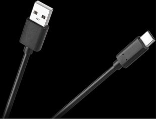 C tipa USB kabelis 3 m cena un informācija | Kabeļi un vadi | 220.lv