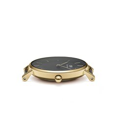 Daniel Wellington Petite 28 Evergold женские часы цена и информация | Женские часы | 220.lv