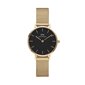 Pulkstenis Daniel Wellington DW00100349 цена и информация | Sieviešu pulksteņi | 220.lv