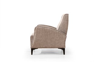 Кресло Asir Petra, коричневый цена и информация | Кресла в гостиную | 220.lv