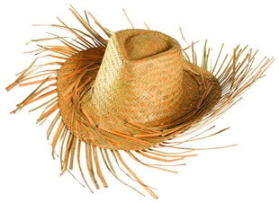 Гавайская соломенная шляпа «Пляжная вечеринка, Пугало» цена и информация | Карнавальные костюмы, парики и маски | 220.lv