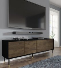 ТВ столик Homlando Sherwood, черный/коричневый цена и информация | Тумбы под телевизор | 220.lv
