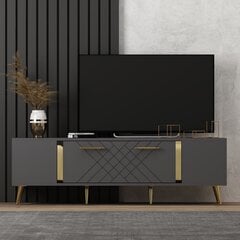 TV galds Asir Detas, pelēks/zelta cena un informācija | TV galdiņi | 220.lv