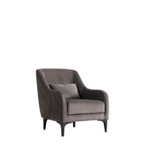 Кресло Asir Astana, серый цена и информация | Кресла в гостиную | 220.lv