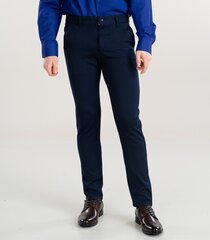 Espada мужские брюки 373015 02, тёмно-синий 373015*02-040 цена и информация | Мужские брюки | 220.lv