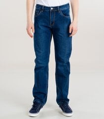 Мужские джинсы L32  362101 01, тёмно-синий цена и информация | Мужские джинсы | 220.lv