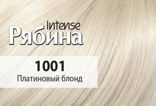 Krēmveida matu krāsa Acme Color Rebina Intense 1001 platīna blonds cena un informācija | Matu krāsas | 220.lv