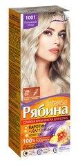 Krēmveida matu krāsa Acme Color Rebina Intense 1001 platīna blonds цена и информация | Краска для волос | 220.lv