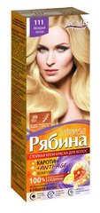 Krēmveida matu krāsa Acme Color Rebina Intense 111 slapjas smiltis цена и информация | Краска для волос | 220.lv