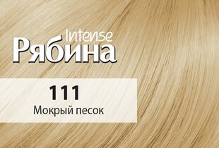 Krēmveida matu krāsa Acme Color Rebina Intense 111 slapjas smiltis цена и информация | Краска для волос | 220.lv