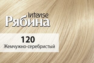 Krēmveida matu krāsa Acme Color Rebina Intense 120 pērļu sudrabs цена и информация | Краска для волос | 220.lv