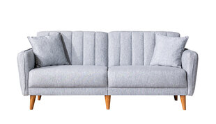 2-х частный гостиная мебельный комплект Asir Aqua-TKM03-1008, серый цена и информация | Комплекты мягкой мебели | 220.lv