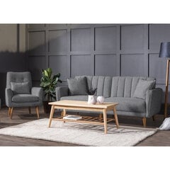 2-х частный комплект мебели для гостиной Asir Aqua-TKM04-94216 цена и информация | Комплекты мягкой мебели | 220.lv