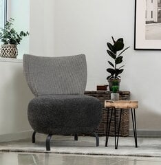 Кресло Asir Loly, серый цена и информация | Кресла в гостиную | 220.lv