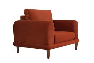 Кресло Asir Nero NQ6-168, оранжевый цена и информация | Кресла в гостиную | 220.lv