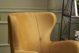 Кресло Asir Karina, золотое цена и информация | Кресла в гостиную | 220.lv