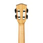 Soprāna ukulele Cascha Bamboo Natural HH 2312 цена и информация | Ģitāras | 220.lv