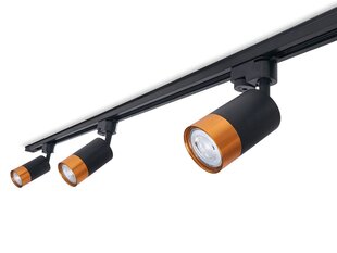 Светодиодный светильник на рейку Steka Klemens GU10 x3 + шина 1,5м - Черный цена и информация | Потолочный светильник | 220.lv