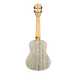 Koncertu ukulele Cascha HH 2316 cena un informācija | Ģitāras | 220.lv