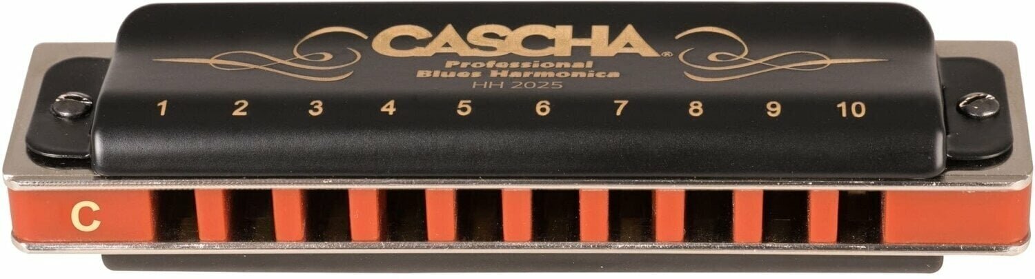 Lūpu ermoņiku komplekts C-G-A Cascha Professional HH 2343 цена и информация | Pūšamie instrumenti | 220.lv