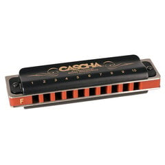 Lūpu harmonika F Cascha Professional Blues Diatonic HH 2221 cena un informācija | Pūšamie instrumenti | 220.lv