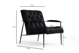 Кресло Asir Matilda, черный цена и информация | Кресла в гостиную | 220.lv
