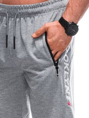 спортивные штаны w484 - серые 125069-78 цена и информация | Мужские шорты | 220.lv