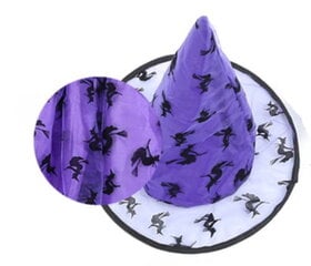 Костюм на Хэллоуин Ведьма метла шляпа юбка 90-120 см цена и информация | Карнавальные костюмы, парики и маски | 220.lv