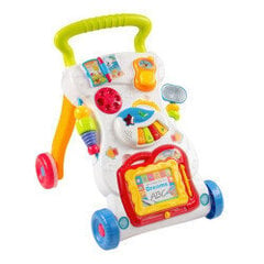 Stumjamā rotaļlieta 3in1 Baby Mix cena un informācija | Rotaļlietas zīdaiņiem | 220.lv