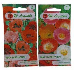 Мак W. Legutko цена и информация | Семена цветов | 220.lv