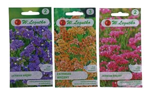 Статица W. Legutko цена и информация | Семена цветов | 220.lv