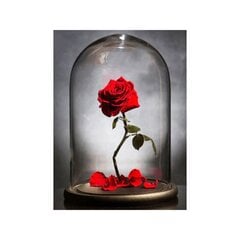 Dimantu mozaīka Roze stikla kupolā, 30x40 cm cena un informācija | Dimantu mozaīkas | 220.lv