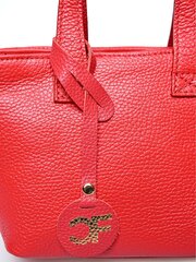 Carla Ferreri SS24 CF 1908 ROSSO кожаная сумка цена и информация | Женские сумки | 220.lv