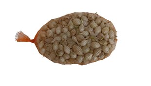 Лук Snowball 1 кг цена и информация | Семена овощей, ягод | 220.lv