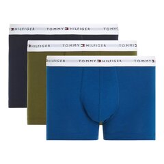 Мужские Tommy Hilfiger, разные цвета, 3 шт, размер S цена и информация | Мужские трусы | 220.lv