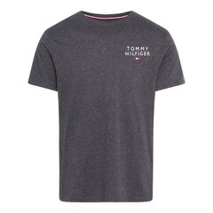 Tommy Hilfiger t-krekls Cn Ss Tee Logo UM0UM02916P5Q, pelēks цена и информация | Мужские футболки | 220.lv