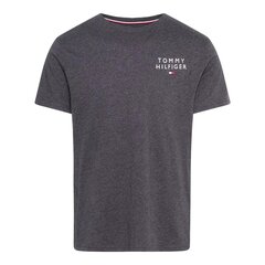 Tommy Hilfiger t-krekls Cn Ss Tee Logo UM0UM02916P5Q, pelēks cena un informācija | Vīriešu T-krekli | 220.lv