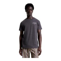 Tommy Hilfiger t-krekls Cn Ss Tee Logo UM0UM02916P5Q, pelēks cena un informācija | Vīriešu T-krekli | 220.lv