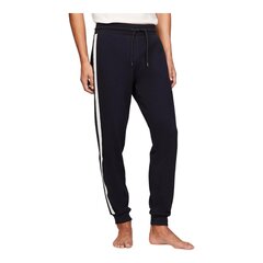 Bikses TOMMY HILFIGER Hwk Track Pant UM0UM03013DW5 cena un informācija | Sporta apģērbs vīriešiem | 220.lv