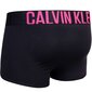 Calvin Klein bokseršorti Trunk 2Pk 000NB2602AGXI, melni, 2 gab. cena un informācija | Vīriešu apakšbikses | 220.lv