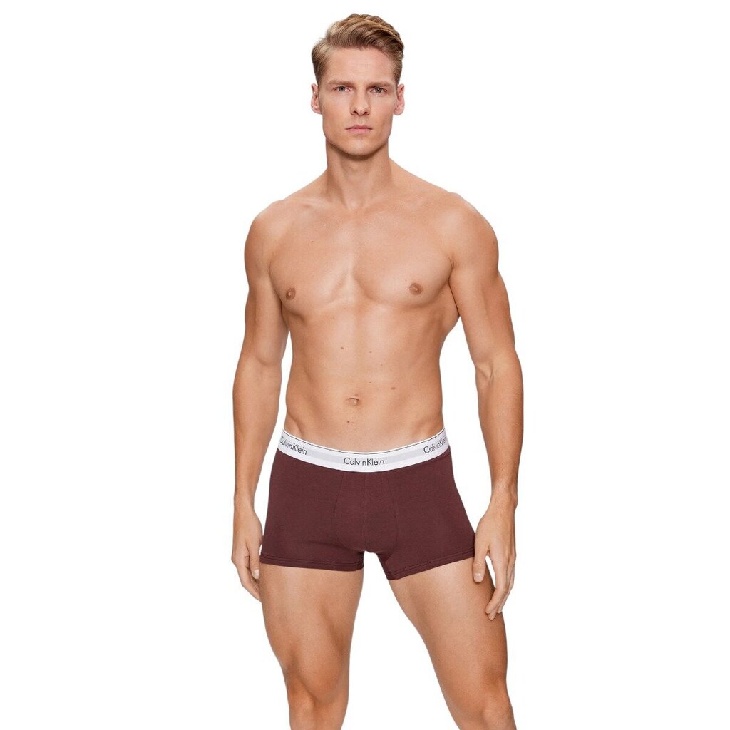 Calvin Klein bokseršorti Trunk 3Pk 000NB2380AGVZ, dažādas krāsas,3 gab. cena un informācija | Vīriešu apakšbikses | 220.lv