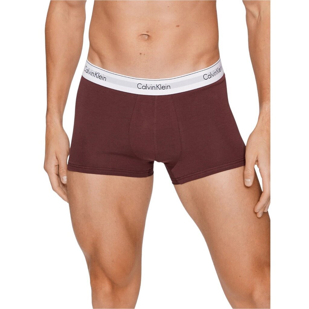 Calvin Klein bokseršorti Trunk 3Pk 000NB2380AGVZ, dažādas krāsas,3 gab. cena un informācija | Vīriešu apakšbikses | 220.lv