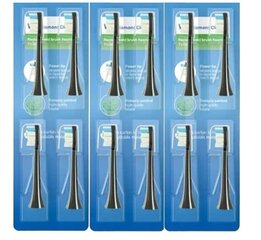 Philips Sonicare YM-6064 cena un informācija | Uzgaļi elektriskajām zobu birstēm | 220.lv