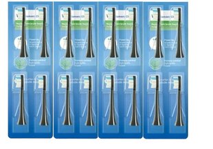 Насадки для электрических зубных щеток Philips Sonicare YM-6064, 12 шт. цена и информация | Насадки для электрических зубных щеток | 220.lv