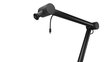 Endorfy Studio Boom Arm цена и информация | Mikrofoni | 220.lv