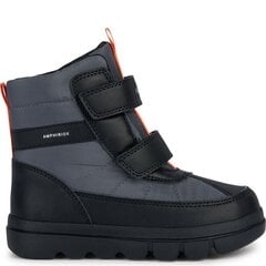 Сапоги GEOX J Willaboom Boy B(28-36) J36LFB0FU54C0005 цена и информация | Детские сапоги | 220.lv